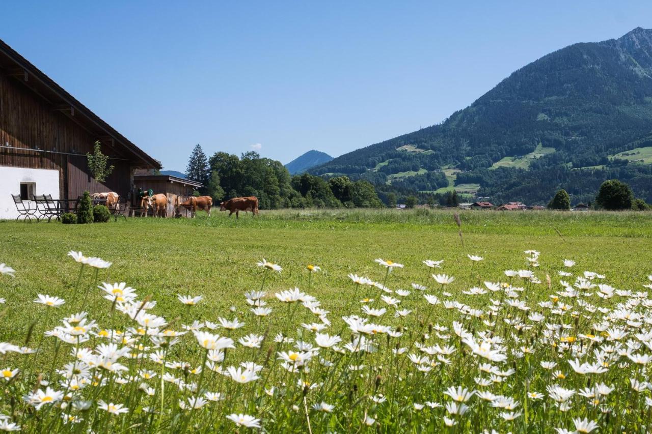 菲丽恩伍诺根德哈利恩酒店 Schönau am Königssee 外观 照片